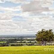 Hill Of Tara Wishing Tree Art Print