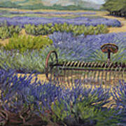 Edge Of The Lavender Field Art Print