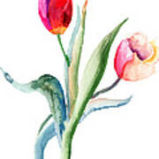 Tulips Flowers  #6 Art Print