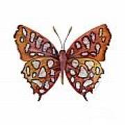 61 Hutchinson's Highflier Butterfly Art Print