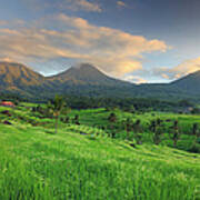 Indonesia, Bali, Rice Fields And #7 Art Print