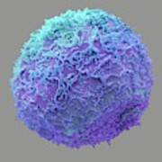 Prostate Cancer Cell #7 Art Print