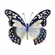 90 Angola White Lady Butterfly Art Print