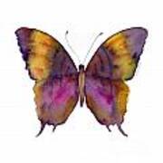 99 Marcella Daggerwing Butterfly Art Print
