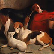 A Couple Of Foxhounds With A Terrier Art Print