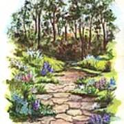 Down The Garden Pathway Art Print