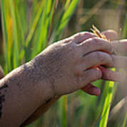 A Little Boy's Hands Art Print