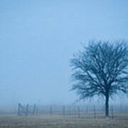 A Lone Tree In The Fog Art Print