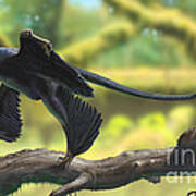 A Microraptor Perched On A Tree Branch Art Print