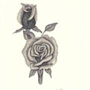 A Roses Beauty Art Print