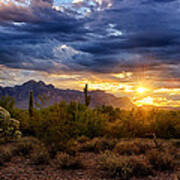 A Sonoran Desert Sunrise Art Print