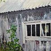 Abandoned Shed Art Print