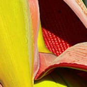 Abstract Banana Bloom Art Print