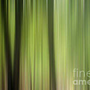 Abstract Trees In The Forest Art Print