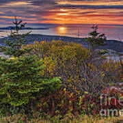 Acadia National Park Sunrise Art Print