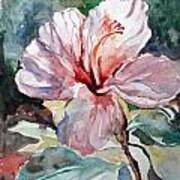 Accented Hibiscus Art Print