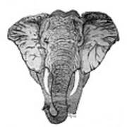 African Elephant Art Print