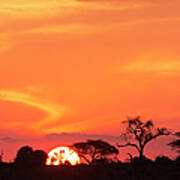 African Sunset In The Okavango Delta Art Print