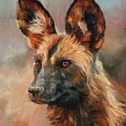 African Wild Dog Art Print