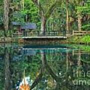 Afternoon At Juniper Springs Mill House Art Print