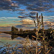 Late Afternoon In The Mead Wildlife Area Art Print