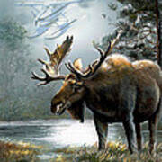 Alaska Moose With Floatplane Art Print