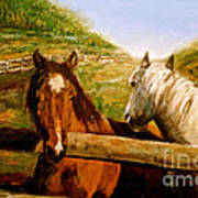 Alberta Horse Farm Art Print