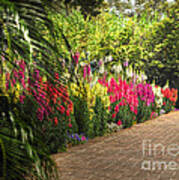 Along The Garden Path Art Print