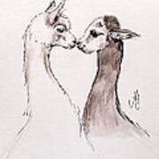 Alpaca Love Art Print