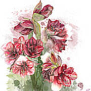 Amaryllis Flowers - 4. - Elena Yakubovich Art Print