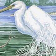 American Egret Art Print
