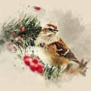 American Tree Sparrow Watercolor Art Art Print