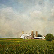 Amish Farmland Art Print