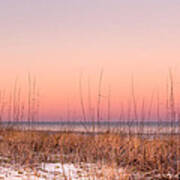 Anastasia Beach Dunes Sunset Art Print