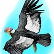 Andean Condor Art Print