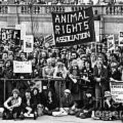 Animal Rights Demonstration London Art Print