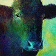 Animals - Cows- Black Cow Art Print