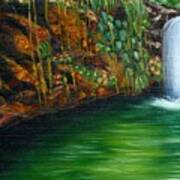 Annadale Waterfall Art Print