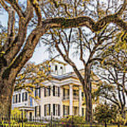 Antebellum Mansion Art Print