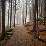 Appalachian Trail Landscape Photography In Western North Carolina Art Print