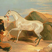 THE ARAB TENT HORSES BABY HORSE DOGS MONKEYS PAINTING BY EDWIN LANDSEER REPRO 