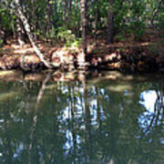 Assateague Canal 3 Art Print