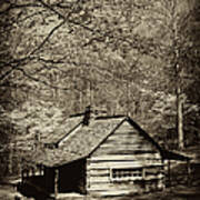 At Home In The Appalachian Mountains Art Print