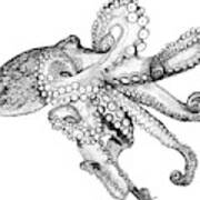 Atlantic Octopus Art Print