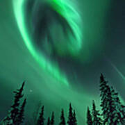 Aurora In A Frozen Forest In  Kiruna Art Print