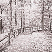 Autumn At Mammoth Cave National Park B/w Art Print