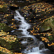 Autumn Cascade At Chesterfield Gorge - New Hampshire Art Print