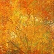 Autumn Colors Art Print