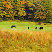 Autumn Cows Art Print