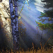 Autumn Fog With Sun Rays Art Print